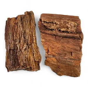 Petrified Wood Rough Specimens 330.4 grams. 2 Piece Lot - Picture 1 of 2