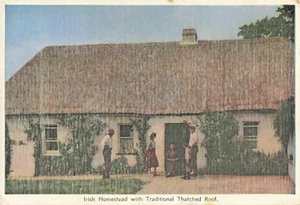Postcard Ireland Traditional Thatched Roof Homestead - Picture 1 of 2