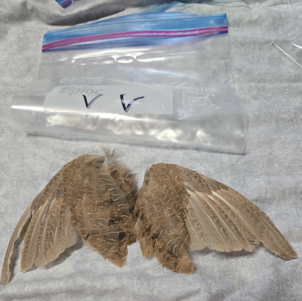 1 комплект перепелиных крыльев - vv - Изображение 1 из 1