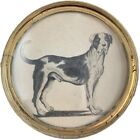 Antique Miniature 10cm Big Dog Breed CharcoalPencil Drawing Etching 1800 Picture