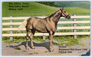 "ENCINAL" Palomino Horse HOTEL JEFFERY RANCH, Salinas CA ~ c1940s Linen Postcard - Picture 1 of 2