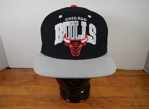 Mitchell And Ness Chicago Bulls Hardwood Classics NBA Snapback Hat One Size - Picture 1 of 7