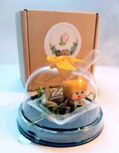 6 MINI ACTION KID, Terrarium Pods,Succulent Easy Care, Childrens Parties, Kids 6 - Picture 1 of 13