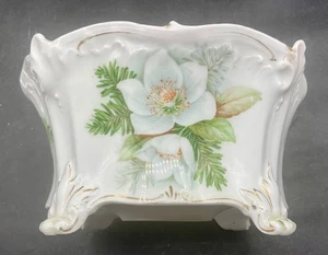 BEAUTIFUL RS PRUSSIA FOOTED FERNERY WITH DOGWOOD FLORAL GREEN DECORATION - Picture 1 of 8