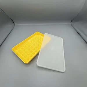 Contenitore vintage giallo Tupperware Hotdog gastronomia 1292-8 coperchio trasparente 1293-1 bacon keeper - Foto 1 di 12
