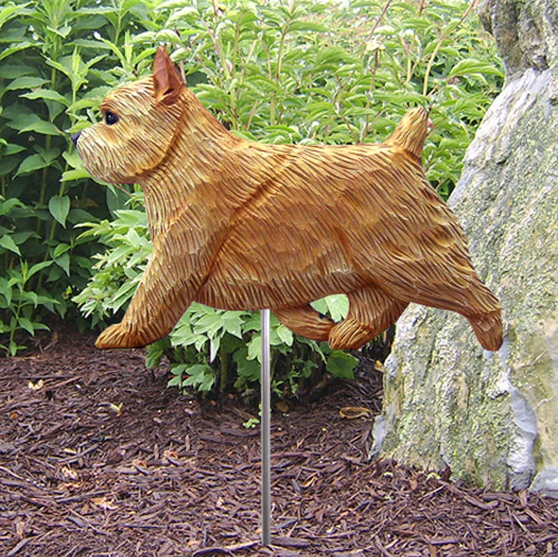 Letrero de perro de jardín al aire libre Norwich Terrier figura pintada a mano trigo Foto 1 de 1
