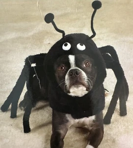 Halloween Hundekostüm Spinne Freizeit Hund XL Spidey Paws Haustier EXTRA GROSS schwarz - Bild 1 von 2