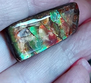 Ammolite Ammonite Coated Stone 35.2x15x5.2mm 13519 - Bild 1 von 5
