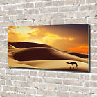 Glas-Bild Wandbilder Druck auf Glas 140x70 Deko Landschaften Sahara Kamel