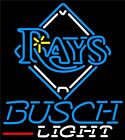 10" Vivid Tampa Bay Rays Beer LED Neon Sign Light Lamp Pub Cute Gift Bright