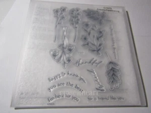 Close To My Heart My Acrylixs Acrylic Cosette Cardmaking C1975 Free Shipping - Picture 1 of 2