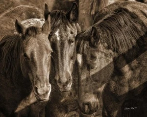 Lean on Me by Barry Hart Horses Western Print 14x11 - Picture 1 of 1