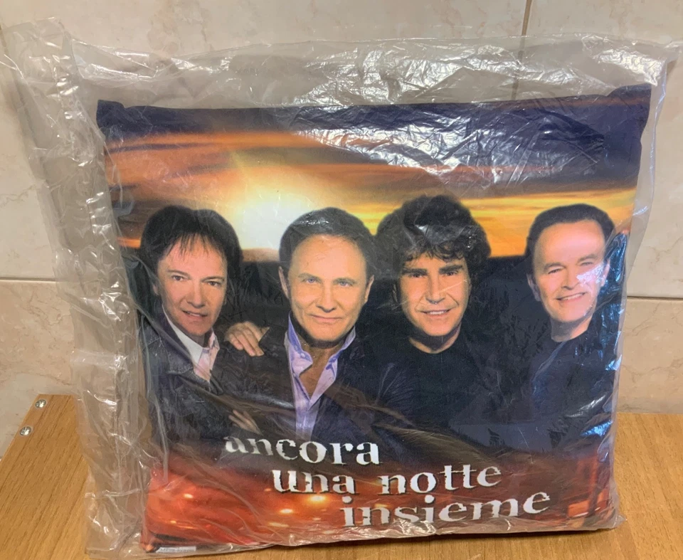 POOH CUSCINO GADGET UFFICIALE ANCORA UNA NOTTE INSIEME NUOVO IDEA REGALO NATALE - Immagine 1 di 4