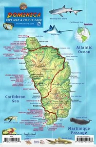 Dominica Tauchkarte & Korallenriff Kreaturen Guide Franko Karten laminierte Fischkarte - Bild 1 von 2