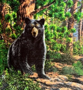 Black Bear Fleece Throw Blanket The Northwest Company Soft Cozy Warm 50 X 58 In - Picture 1 of 5