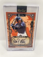 2023 WILD CARD 5 CARD DRAW BASEBALL AUTO Pedro Martinez Jr. 5/5