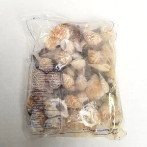 Delta Education Seashell Collection 200 conchas surtidas aula de ciencias océano - Imagen 1 de 11