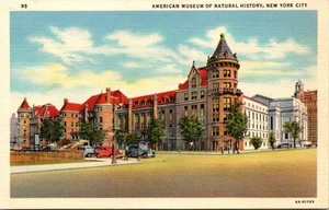 New York City, NY American Museum Of Natural History Vintage Cars Postcard - Picture 1 of 2
