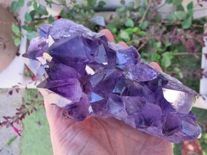 Amethyst Kristall Heilung Cluster Bettpunkte Intuition Natur Kraftstein 913g - Bild 1 von 20