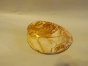 CLAM SHELL FOSSIL POLISHED UNIQUE PATTERN LARGE 8.3 OZ. MADAGASCAR - Picture 1 of 3