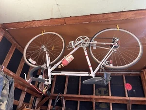 Schwinn super le tour racing bike  10 Speed. Garage Find  Sitting Over 30 Years - Picture 1 of 17