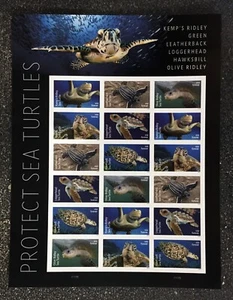 2024USA #5865-5870c Forever Protect Sea Turtles - Sheet of 18   mint - Picture 1 of 1
