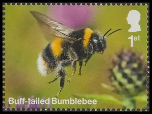 GB 5305 Garden Wildlife Buff-tailed Bumblebee 1st single MNH 2025 - Picture 1 of 1