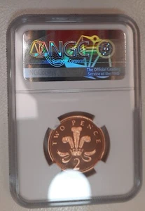 2003 GREAT BRITAIN,  UK. 2P, TWO PENCE.  NGC PF 69 RD UC. TOP POP - Picture 1 of 2