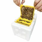 Beekeeping King Box Pollination Box Foam Beekeeper Honeycomb Rearing Mating Hive