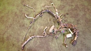 2008 Ford F350 Diesel 6.4L Engine Harness 1882683c91 1882683 - Picture 1 of 9