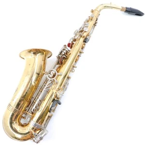 SELMER COMPANY USA ALTO SAXOPHONE HARD CASE AS-500 GIFT IDEA - Picture 1 of 12