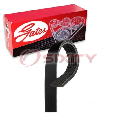 Cinturón Gates Stretch Fit Micro-V AC Serpentine para Mazda 3 2004-2009 2,0 L 2,3 L kx Foto 1 de 4