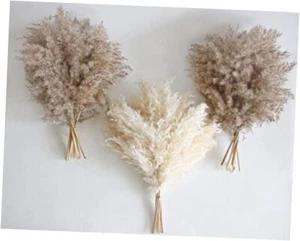 PCS Boho Decor, Fluffy Pompas Grass, Natural Dry Pampas Grass Small, Short 30 - Picture 1 of 7