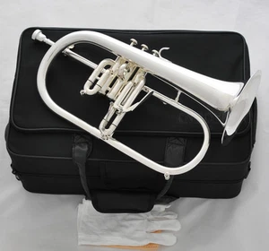 Professional Silver Plated Flugelhorn Monel Valves New Water key Horn With Case - Picture 1 of 6
