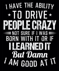 ABILITY TO DRIVE PEOPLE CRAZY STICKER 3.5 X 4 - Picture 1 of 1