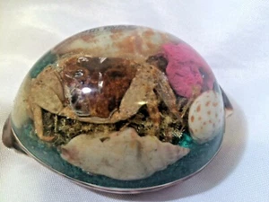 PHILIPPINES Handcrafted Cowrie Shell and Crab Paperweight - Picture 1 of 9