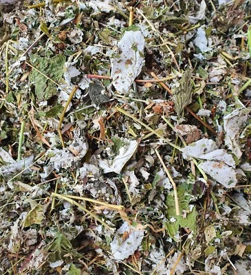 300g - 1 Kilo  HIMBEERBLÄTTER  - für alle Nager ! - Bild 1 von 3