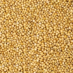 Organic Seeds for Sprouting Sprouts, Microgreens, Healthy Salad - 30 types seed - Picture 1 of 38