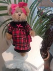 The Bearington Collection 11" Tall Red Plaid Dress Bear comes with Display Stand