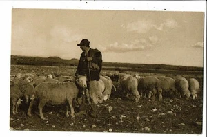 CPA Carte Postale Un berger et ses moutons  VM27918m - Picture 1 of 2
