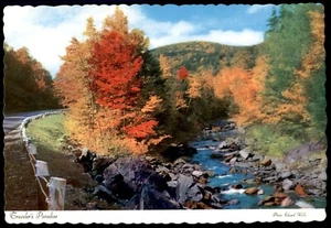 Travelers Paradise Edward Wills Autumn Creek Mountain Canada Dexter UNP Postcard - Picture 1 of 2