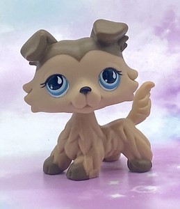 Littlest Pet Shop Authentic # 893 Mocha Tan Brown Collie Blue Teardrop Eyes