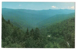 North Carolina from Newfound Gap GREAT SMOKY MTS Nat'l PARK Postcard Tennessee - Picture 1 of 2