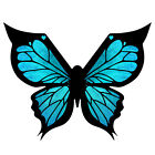  Butterflies Eyeliner Stencil Makeup Tool Butterfly Winged Eyeliner Stamp Women