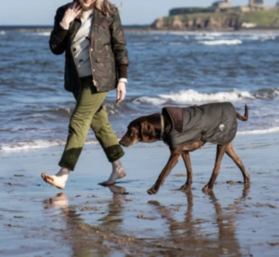 Casaco de cachorro OLIVE ~ BARBOUR algodão encerado fosco MSRP$110 herança britânica - Imagem 1 de 4