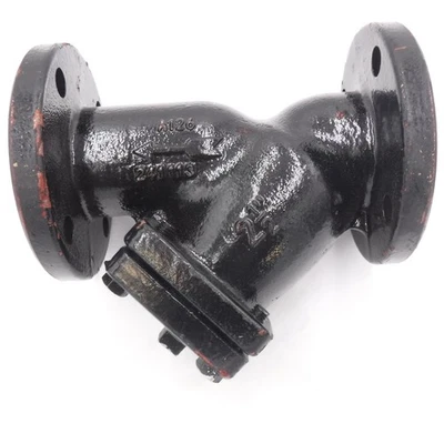 Colador de ojo con brida de hierro fundido de 2-1/2" con recubrimiento epoxi negro 77F-DI-FDA-125 vatios Foto 1 de 3