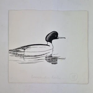 Sir Peter Markham Scott Unsigned Pen Drawing Goosander Drake Duck - Picture 1 of 9
