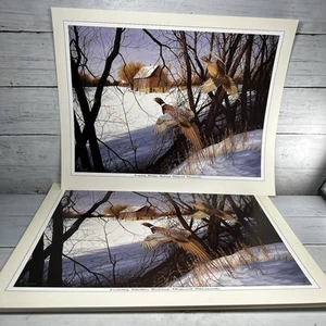 25 David A. Maass “Leaving Shelter Behind Midwest Pheasants” Prints Bird Hunting - Picture 1 of 11