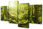 Landscapes Mystical Forest Trees MULTI CANVAS WALL ART Picture Print VA
