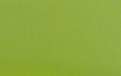 SUNBRELLA 54011 CANVAS GINKGO GREEN OUTDOOR INDOOR MULTIUSE FABRIC BY YARD 54"W - Image 1 of 4